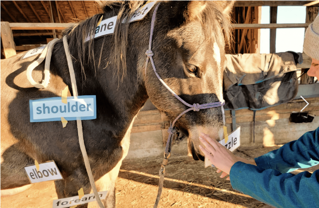 Screenshot 2025-04-08 at 2.10.25 PM